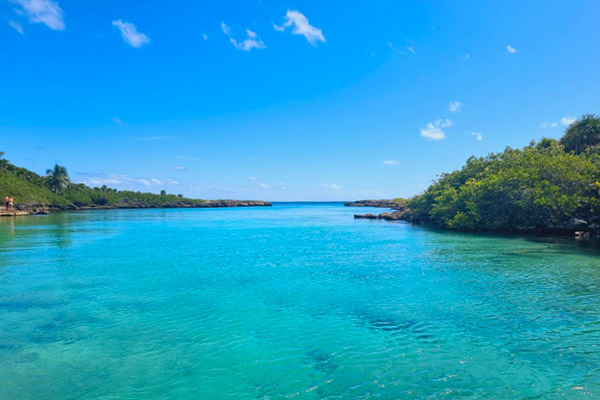 Snorkel em Akumal – Lagoa Virgem, Tartarugas, 4 Cenotes + Buffet de Tacos com guia Português - Image 3