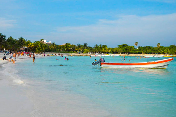 Snorkel em Akumal – Lagoa Virgem, Tartarugas, 4 Cenotes + Buffet de Tacos com guia Português - Image 5