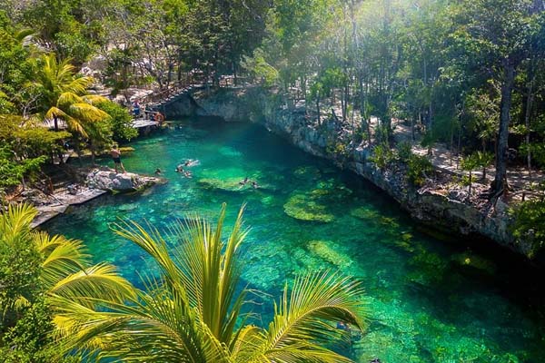 Snorkel em Akumal – Lagoa Virgem, Tartarugas, 4 Cenotes + Buffet de Tacos com guia Português - Image 7