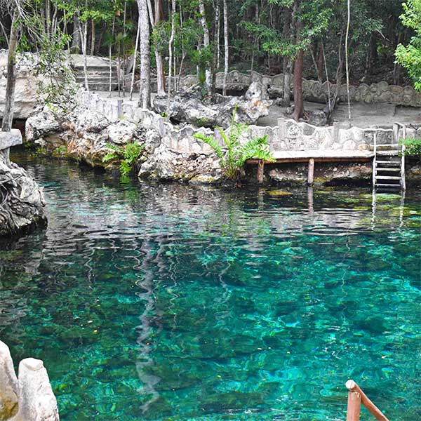 Casa Tortuga - 4 cenotes incríveis