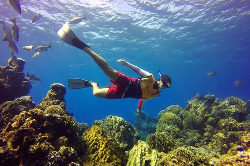 Cozumel em Catamaran – Snorkeling nos Recifes & El Cielo - Image 4