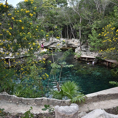 Casa Tortuga – 4 Cenotes & Aventura no Coração da Selva - Image 3