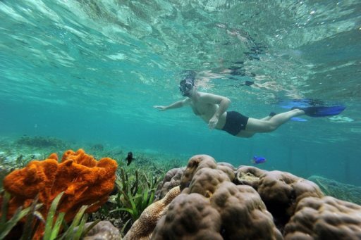 Isla Contoy + Isla Mujeres + Snorkel: Ilhas paradisíacas - Image 4
