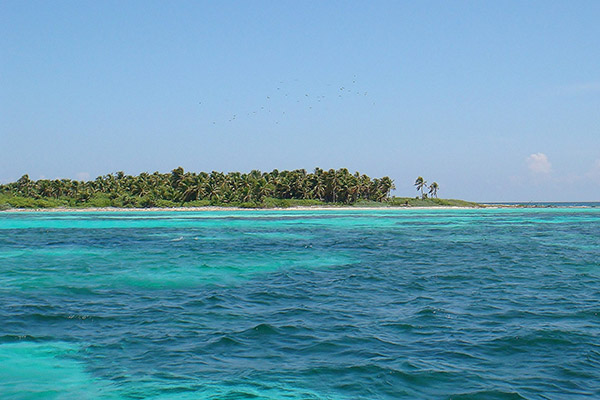 Isla Contoy + Isla Mujeres + Snorkel: Ilhas paradisíacas - Image 3