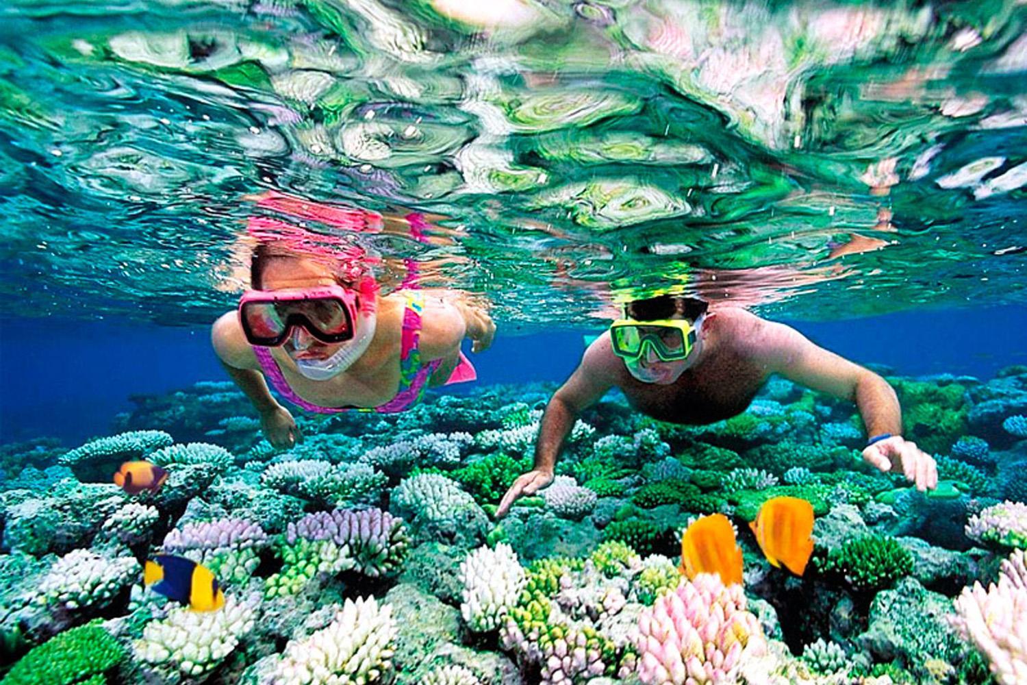 Snorkel em Akumal - Tartarugas - Image 2
