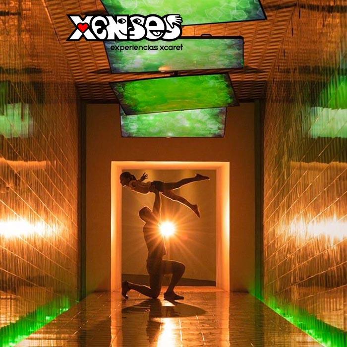 Xenses