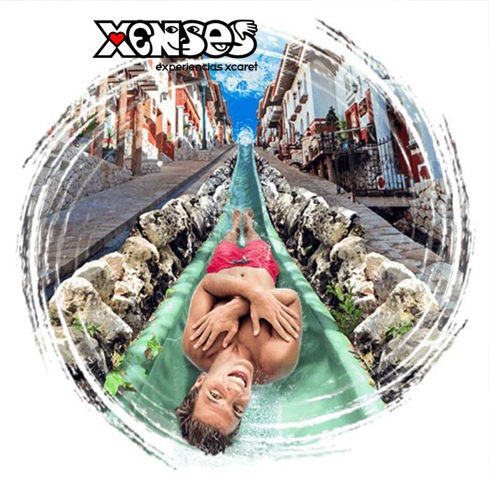 Xenses - Image 4