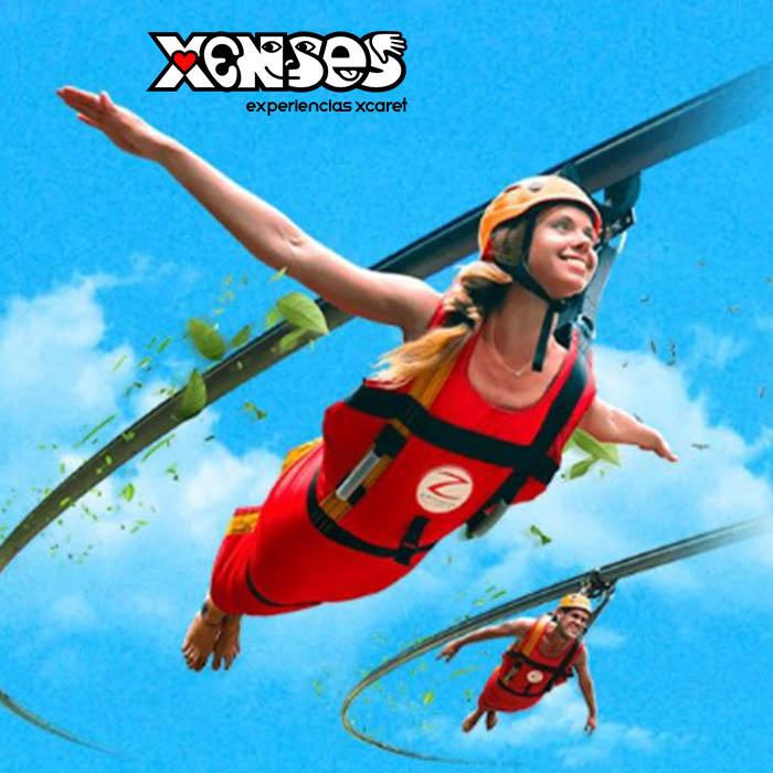Xenses - Image 6